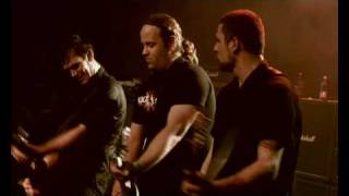 Volbeat  I Only Wanna Be With You Live [upl. by Amorette]