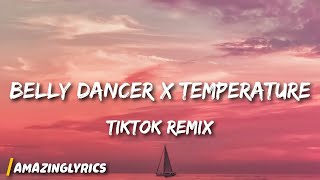 Belly Dancer x Temperature TikTok Remix dont be shy girl go bananza [upl. by Anileme494]