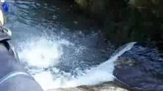 Canyoning in Austria [upl. by Aes]