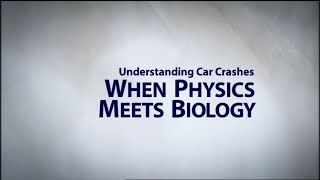 Understanding Car Crashes When Physics Meets Biology [upl. by Herbst739]