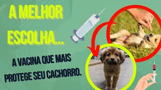 MELHOR VACINA PARA CACHORRO NÃƒO PEGAR VIROSE  USE ESTA VACINA NO SEU FILHOTE [upl. by Aylsworth]