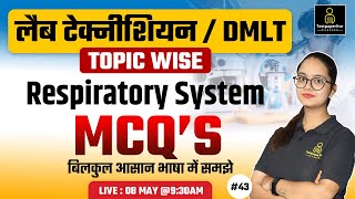 Respiratory system anatomy amp physiology in hindi  Organs  structure  functions  DMLT [upl. by Yatnod300]