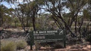 DB Mack Reserve mystery walk and more [upl. by Eidnil]