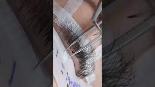 Best Premade Fan Lash Extensions 🌹 lashextensions [upl. by Cirdet]