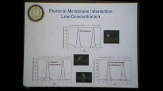 Modeling interactions of pluronics with lipid bilayers  Roland Faller [upl. by Akeme]