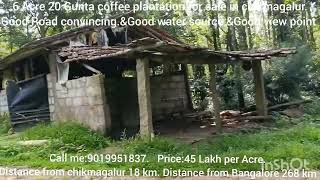 6 Acre 20 Gunta coffee plantation for sale in chikmagalurprice45 Lakh call me9019951837 [upl. by Nedra]