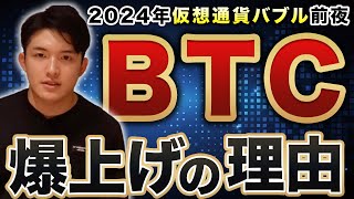 ビットコインがこれから最高値を付ける理由を徹底解説します。【仮想通貨バブル前夜】 [upl. by Langille]