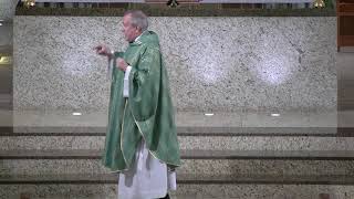 Homily for the 13th Sunday in Ordinary Time Epiphany Catholic Church [upl. by Carlye]