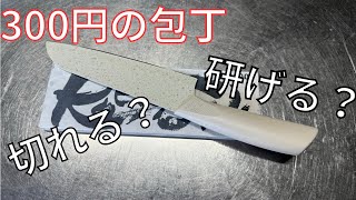 【包丁レビュー】3COINSの包丁を使って研いでみた [upl. by Sibby85]