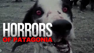 Horrors of Patagonia [upl. by Abita]