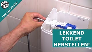 Hoe herstel je een lekkend toilet  Hallo Roger [upl. by Zitvaa]