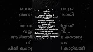 Poomuthole❤️shortvideo malayalamsonglyrics shortfeed [upl. by Eiznek]