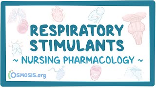 Respiratory stimulants Nursing Pharmacology [upl. by Ahsyekat]