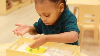 Montessori Reggio Academy of SugarLand  Reggio Learning Cycles [upl. by Yrrok]