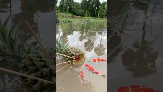 Survival Skills SIMPLE and USEFUL with Pineapple fish trap camping bushcraft outdoors [upl. by Othilia]