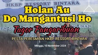 Holan Au Do Mangantusi Ho Penyanyi  Tagor Pangaribuan [upl. by Aidnac]