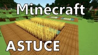 Minecraft  Tout savoir sur lAgriculture [upl. by Eimrots]