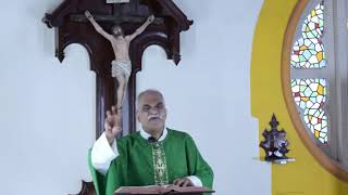 Thursday July 15 2020 Homily [upl. by Neral]