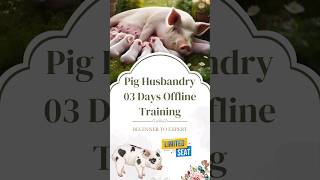 Pig Farming Offline Training in Telangana Mar 2024  Book Your Seat Now swastikpigfarm piggery [upl. by Odeen]