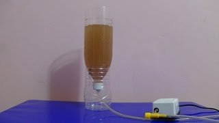 How to Hatch Brine Shrimp Eggs [upl. by Darcia]