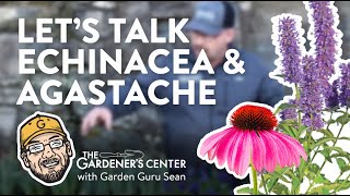 Lets Talk Echinacea and Agastache 🐝 🦋 Garden Guru Sean at The Gardeners Center [upl. by Okimik]