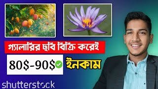 ফটো বিক্রি করে ডলার ইনকাম How to make money on Shutterstock [upl. by Bashuk]