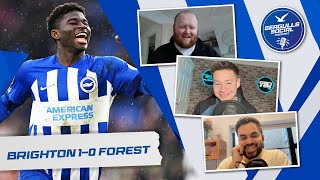 Carlos Making Brighton Fans Baleba  Brighton 10 Nottingham Forest  SEAGULLS SOCIAL  S4  EP35 [upl. by Manchester]