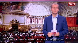 Sécurité immigration  Christophe Castaner défend le budget 2019  Les matins du Sénat 14112018 [upl. by Claretta]