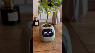 He got a bit excited at the end 😳 planter plants cuteplanter plantlover [upl. by Gavriella]