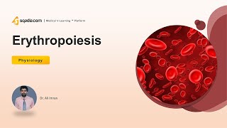 Erythropoiesis  Introduction  Human Physiology Video  VLearning™  sqadiacom [upl. by Meletius]