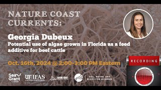 Potential use of algae grown in Florida as a feed additive for beef cattle with Dr Georgia Dubeux [upl. by Ralat]