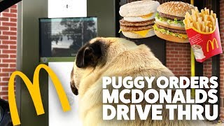 Puggy Smalls McDonalds drive thru [upl. by Vivia]