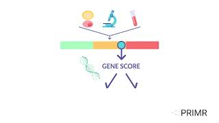 Clinical Trial NRGGU010 Patient Video 1 [upl. by Tsenre]