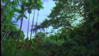 SDDS Jungle Trailer Sony Dynamic Digital Sound [upl. by Nana]