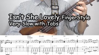 Isnt She Lovely ukulele solo fingerstyle Real Slow with Tabs 50bpm [upl. by Teodorico]