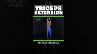 Resistance Band Training  Triceps Extension  TA2 Burn Program [upl. by Chlores]