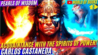 The Teachings Of The Magic Of The Great Shaman Acquaintance With The Spirits Of Power l Castaneda [upl. by Dopp]