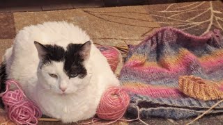 PIK presents Live from the Knitting Wars [upl. by Kerstin179]