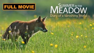 Discover the Surprising Nature of a Meadow  Full Documentary [upl. by Thorlay73]