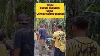 gerebek lokasi maling wakbonar komediskb gibran genta [upl. by Laerdna]