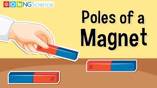 Poles of a Magnet [upl. by Trela]