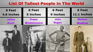 Meet the Giants Top 16 Tallest People in the World  Kauhan [upl. by Og]