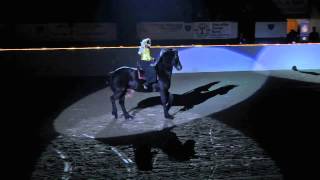 Equine Affaire 2013 Fantasia  Rein Dance [upl. by Aisatsanna808]