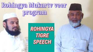 MTV ACTION Rohingya Mukartv veer program [upl. by Puttergill]