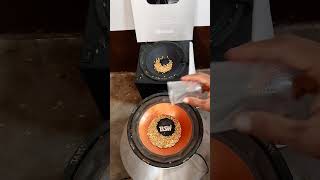 Extreme Bass Vs Wheat 🌾🔥 shorts jbl bass bassboosted speaker explore [upl. by Acacia]