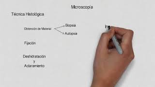 Tecnica histologica y microscopia [upl. by Akemed162]