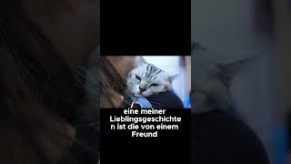 Warum deine Katze dich als Wärmflasche benutzt  Katzenfakten [upl. by Frame]