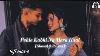 Pehle kabhi na mera haal  SlowedReverb  bollywood hindisubscribe bollywood music song [upl. by Ketchum]