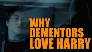 Why do Dementors love Harry Potter so much  Harry Potter Fan Theory [upl. by Ecyt]