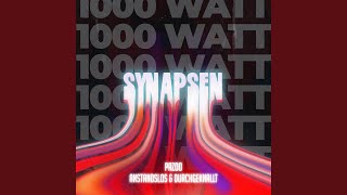 Synapsen 1000 Watt Preview [upl. by Zsa]